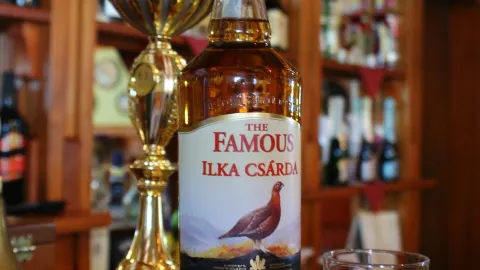 Ilka Csárda Panzió in 佩斯州