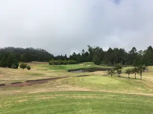 Clube de Golf Santo da Serra's Restaurant