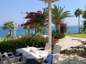 Kalymnos Fish Tavern