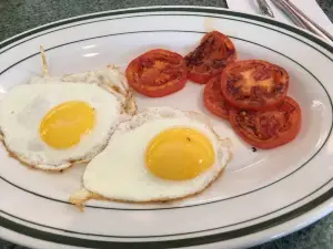 Circle M Diner