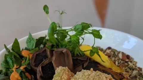 Pearth Organic Kitchen in Perth