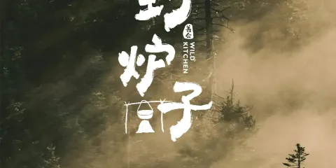 野爐子（寶石公園店）