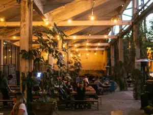Jardin de Cerveza Hercules