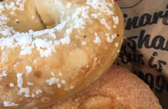 Brueggers