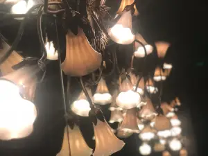 La Dolce Vita Ann Arbor