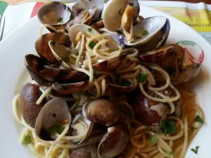 Pasta Vino