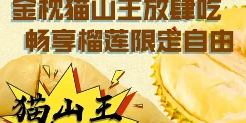 德隆鮮味自助火鍋（金地店）