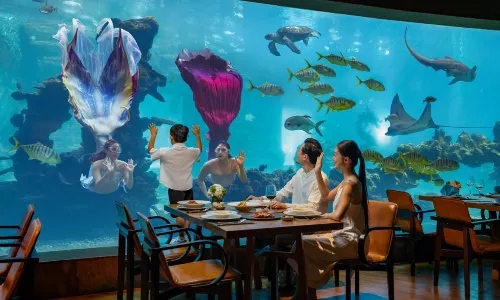 Aqua - Aquarium Restaurant