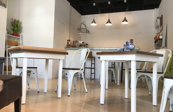 Meow Meow Cafe