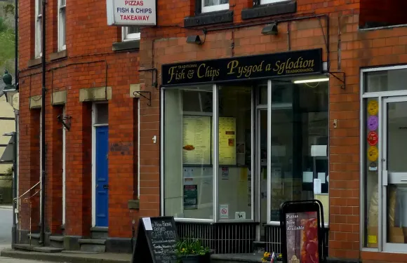 Parry's Plaice
