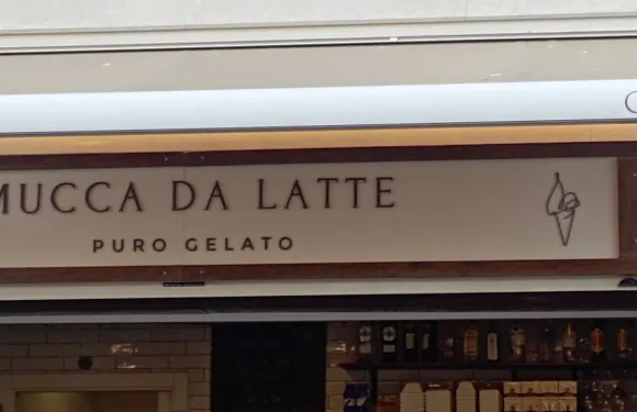 Fior di Latte