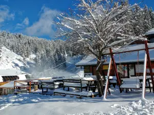 Atril Tea Room & Restaurant