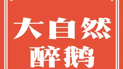 大自然醉鹅(儋州分店) in Danzhou