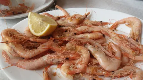 Bar El Rubio in Torrox