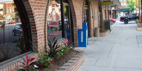 Divino Pizzeria and Grille