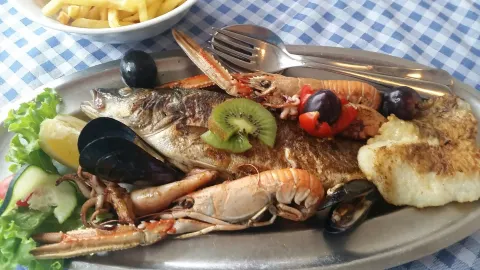 Galeb in Krk