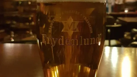 Karjolen Pub in 泰勒馬克郡