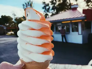 The Custard Stand