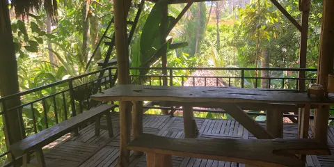 Jambe Asri Agrotourism