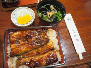 Hasegawa