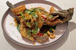 Popular dishes