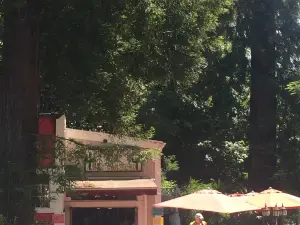 El Mariachi Cafe