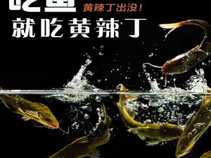 河裡漁（阜寧直營店）