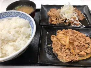 Yoshinoya Toyama Jonan Park Route 41