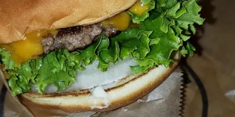 Elevation Burger