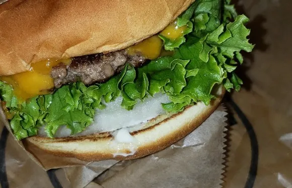 Elevation Burger
