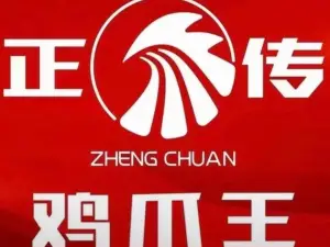 ZHENG CHUAN JI ZHAO WANG