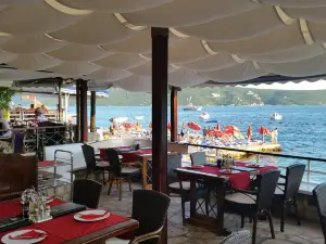 Splendido