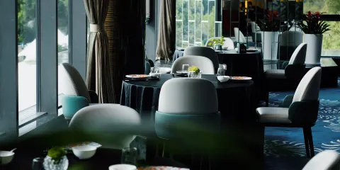 六安曙光鉑尊酒店·皋城小館