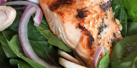 The Black Dog Water Street Bakery