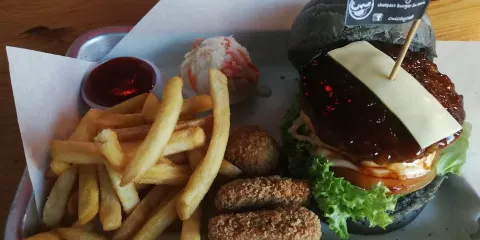 Owl City Cafe