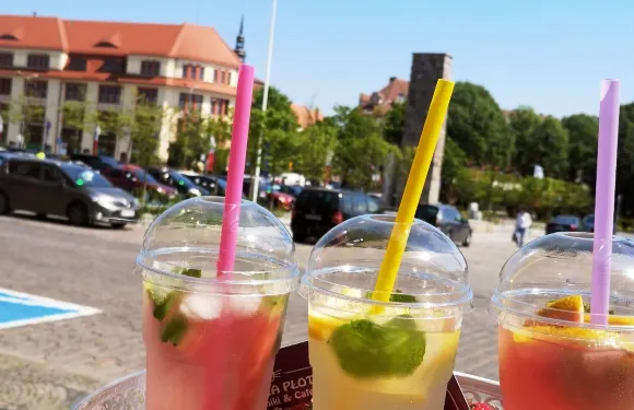 Koty za Ploty Naleśniki & Cafe