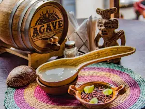 Agave