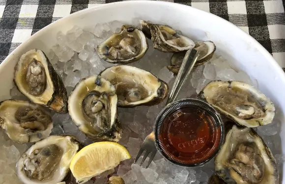 Flying Fish Seafood