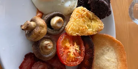 Seashells Bar & Restaurant