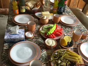 Dzknashxarh Debed Restaurant