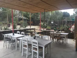 Spekboom Restaurant & Bar Van Wyksdorp