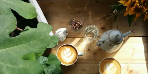 Croitoria de cafea