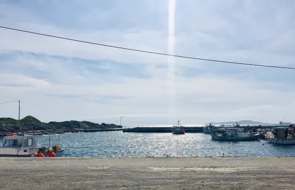 Limanaki Fish Taverna