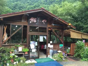 Ayuya