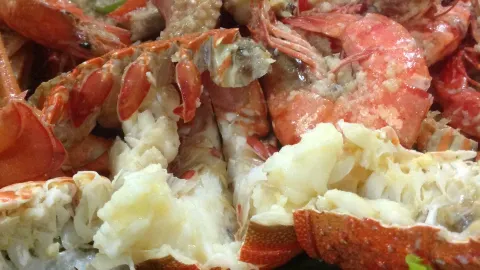 FireFish Sea Food Restaurant in Negombo