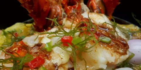 Fiesta Restaurant Gourmet