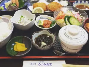 Utsumi Shokudo Unoike