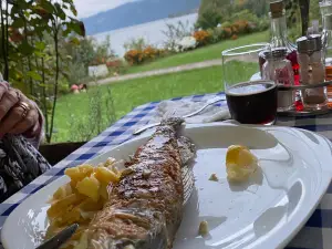 Lepenac