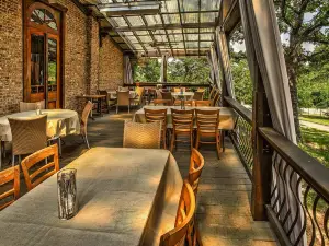 Switch Brick-Oven Pizza & Wine Bar