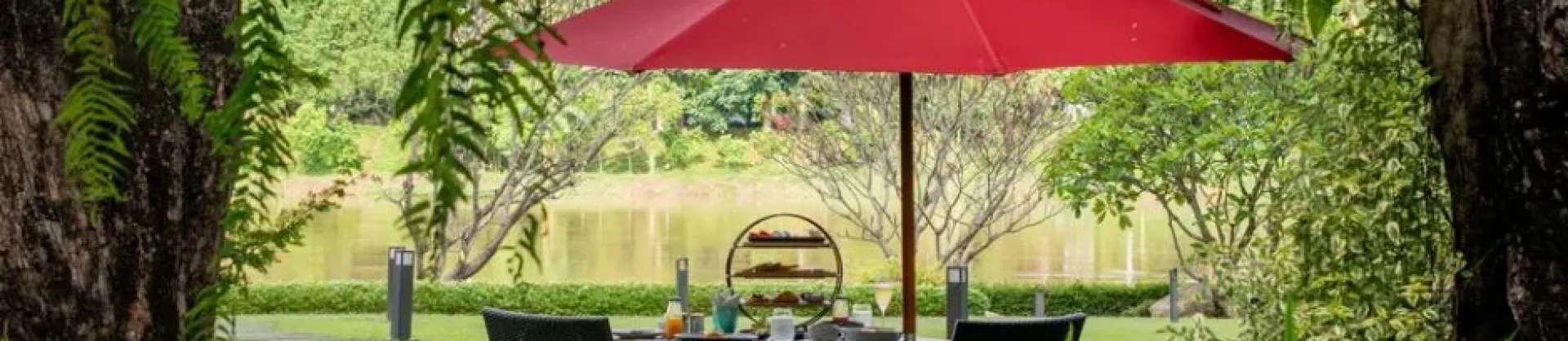 Must-Visit Restaurants